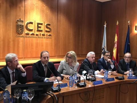 Pleno extraordinario 1/17