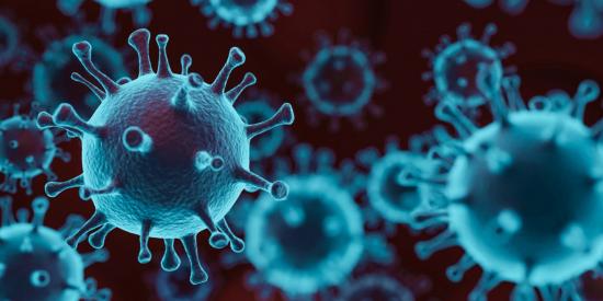 informe covid Galicia