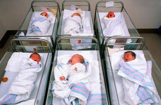 dinamización demográfica